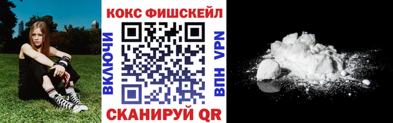 ссылка на мегу зеркало Абаза COCAIN FishScale